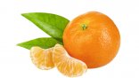 Tangerine Sorbet